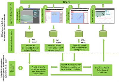 Web-Based Interfaces for Virtual C. elegans Neuron Model Definition, Network Configuration, Behavioral Experiment Definition and Experiment Results Visualization